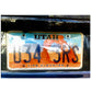 tesla-plate-cover-anti-camera.jpg